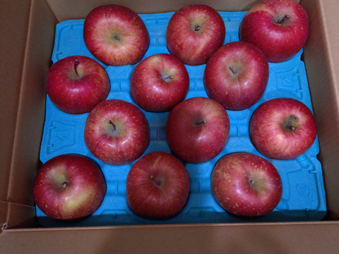 【毎年１万箱以上売れてます】約５キロ 青森県産りんご「樹上完熟葉とらずふじ」家庭用厳選品