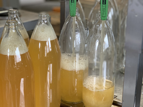 無添加100%手搾りりんごジュース　1L×3本セット