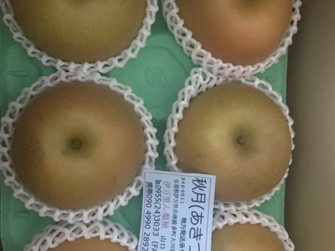 とにかく美味しい「あきづき梨」3キロ箱　発送中