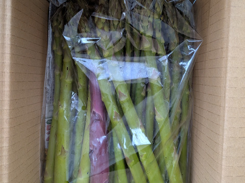 【朝採】アスパラガス B品 サイズ混合 １kg 【収穫当日発送】