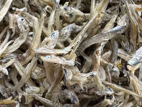 新物！ちりめん　お徳用　１ｋｇ　かえりより小さいちりめんより大きい