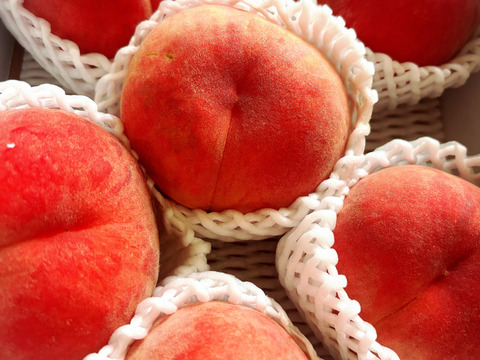 ずっと硬いもも】品種おまかせ🍑2キロ 🍑【ご家庭用桃】【訳あり