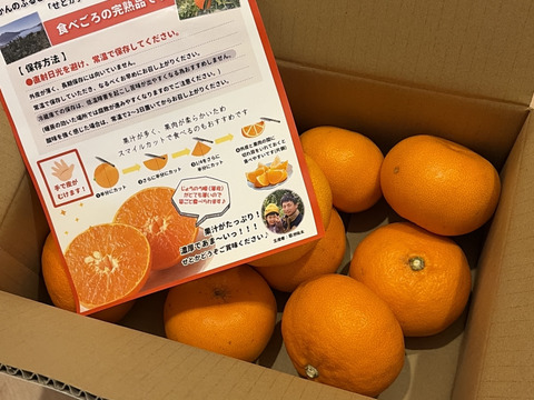 《ご家庭用》柑橘の大トロ！愛媛県産『せとか』(3kg)