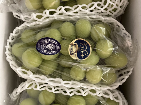 食べチョクアワード 4年連続受賞！】※訳あり フルーツ王国・岡山