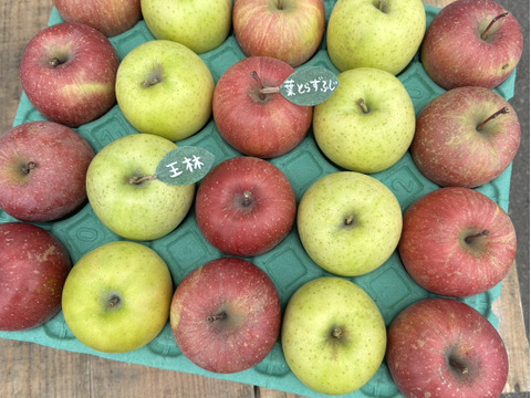★大人気★🍎葉とらずふじ🍏王林（家庭用１３～２０玉）約５キロ　ID124974