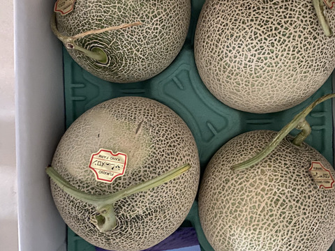 訳あり 富良野産赤肉メロン 8kg 6玉入り×2箱 多く