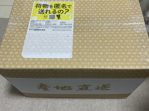 【令和6年新米】南魚沼産新之助１等米10kg(5kg×2袋）【塩沢地区のお米100％】