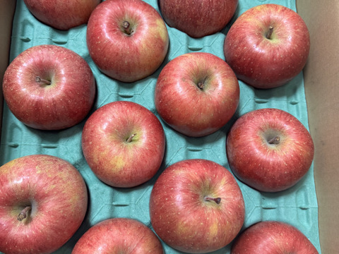 【毎年１万箱以上売れてます】約５キロ 青森県産りんご「樹上完熟葉とらずふじ」家庭用厳選品