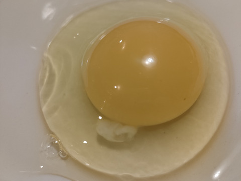 純国産鶏あずさの平飼い卵20個