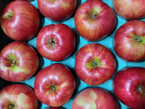 秋田から　つがる5キロご家庭用20～18玉　食べきりサイズ