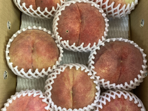 🍑さくら白桃🍑3キロ箱　訳あり家庭用