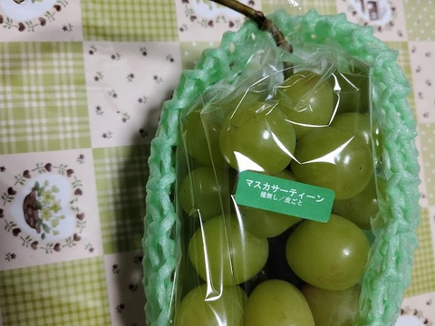 【訳アリ】マスカサーティーン【農薬節減】皮ごと美味しいシャインマスカットの子供（2～3房入り）