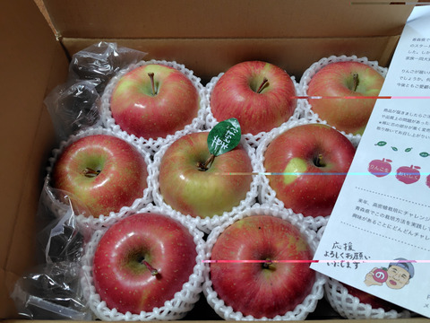 【冬ギフト】 🍎《家庭用》青森完熟葉とらずふじ８〜１５玉(約３kg)🍎ID119812