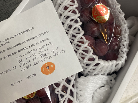 岡山県産ニューピオーネ約1Ｋｇ　2房　化粧箱入り