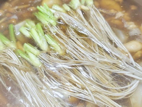 清流の恵み　宮城県蔵王町産セリ700g   蔵王セリ