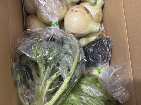 大好評，地層が違う淡路島、訳あり新玉ねぎスーパーアップ３キロ(風袋込み)