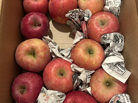 まるせい果樹園の節分りんご　訳あり　6㌔　自家用　家庭用　hs1