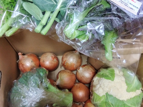 【福袋】玉ねぎ4kg🧅とキヌヒカリ白米2kgその他葉物野菜など3種類以上の野菜セット