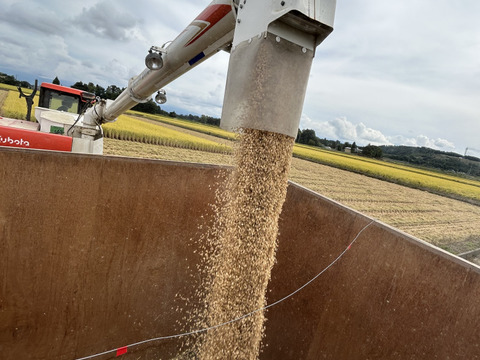山形県産　はえぬき　無洗米　4kg