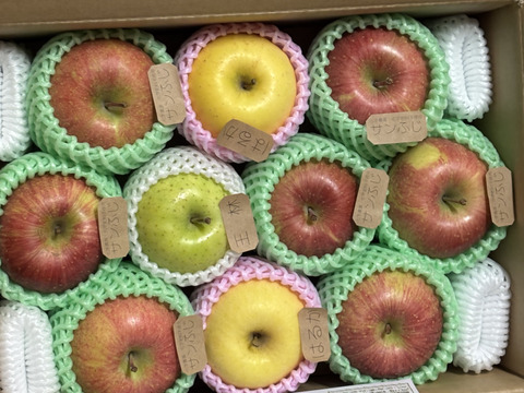 ☆農薬不使用りんご☆と特別栽培りんご(品種おまかせ)詰め合わせ3キロ（８〜１２玉）