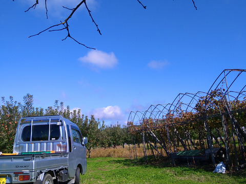 秋の色々なりんごを混ぜます！家庭用です😄
ジャムにも最適！