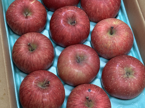 【貯蔵リンゴ】1月下旬より発送ふじ 家庭用 約8〜10玉 3キロ 希少 発送 りんご 雪室 秋田 雪 甘い 雪中貯蔵 長期保存りんご りんごの効能 Apple 母の日 ギフト フルーツ