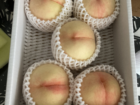 岡山白桃シリーズ随一の高糖度！【川中島白桃・白皇】（ご家庭用・約2kg）