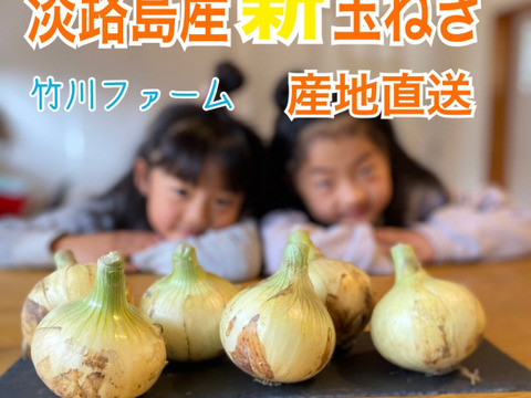 淡路島産 新玉ねぎ 最高品種 トップゴールド 10キロ 兵庫県産 食べチョク 農家 漁師の産直ネット通販 旬の食材を生産者直送 淡路島産 新玉ねぎ 最高品種 トップゴールド 10キロ 兵庫県産 食べチョク 農家 漁師の産直ネット通販 旬の食材を生産者直送
