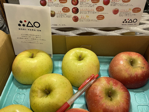 青森の特別栽培りんご🍎🍏大玉2種類詰め合わせ3kg 訳ありご家庭用 化学肥料不使用 低農薬で皮ごとがおすすめ！ 食べ比べ 旬