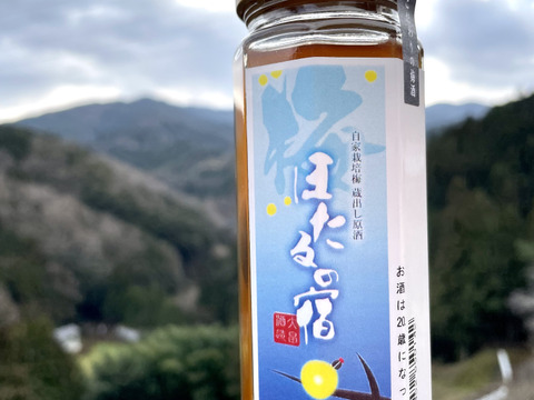 甘辛梅酒　100ml ２本セット　のみくらべ　ギフト　辛口梅酒　本格梅酒　梅の実入り