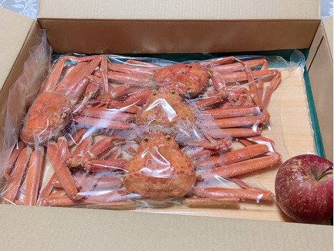 たまらない旨さ✨本ズワイガニ~人気でお得な浜茹で1.5Kgセット~