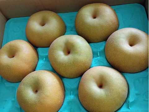 【幸水３ｋｇ】高原の「幸水」は硬さ、シャリ感、ジューシー、甘さが違う。⑧海藻エキス投与で、コクと旨味のある梨にグレードアップ！【秀品】