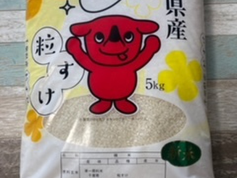 【令和６年産】千葉県産　粒すけ　１０㎏　玄米