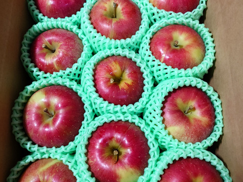 ☆化学農薬不使用りんご☆【A品】シナノスイート3キロ（８〜１２玉）