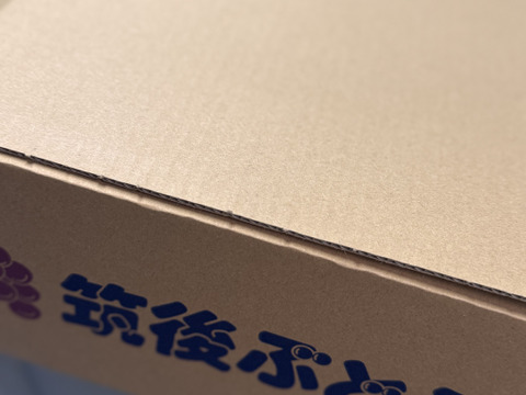 【9月5日まで20箱限定販売】注文殺到！朝採りシャインマスカット！食べてビックリ糖度17〜20度の最高級品[2kg-4房]