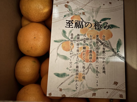 【最高級】真穴（まあな）産地直送　極上みかん　S〜Lサイズ　3キロ　贈答
【冬ギフト】