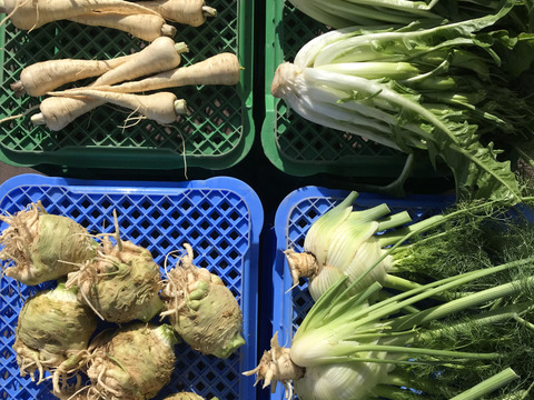 野菜詰め合わせ