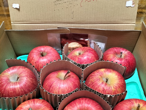 【蜜入保証】【サンふじ】（2kg・9～10個入り）パリパリ・ジューシーお得な家庭用