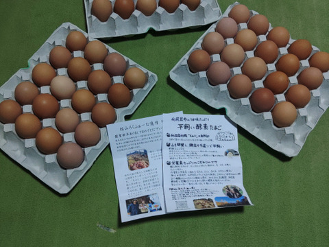 【北海道平飼い自然卵】純国産鶏もみじ60個入り（54個＋破卵補償分6個含む）