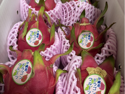 果汁たっぷり！ドラゴンフルーツ【赤果肉】2kg(4〜6個)：沖縄県産の