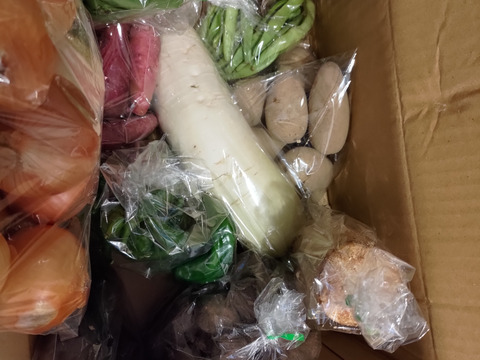 農家直送！規格外・わけあり品セット(A)2,800円分