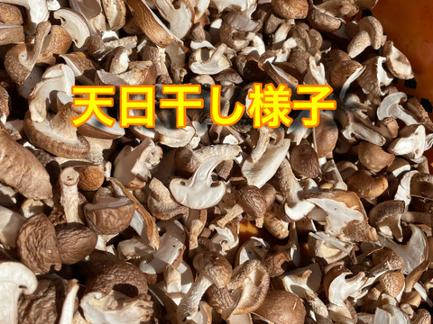 完全国産材料使用　徳島県産乾燥椎茸　100グラム　農薬、殺虫剤も不使用生産