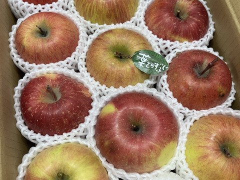 【冬ギフト】 🍎レビュー数1700件突破！！《家庭用》青森完熟葉とらずふじ８〜１２玉(約３kg)🍎ID119812