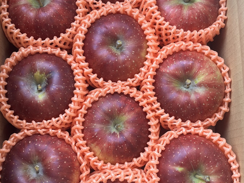 パリッとりんご！秋映 約3kg　信州りんご