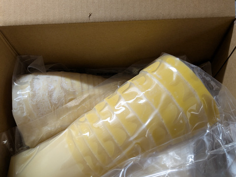 「朝イチ」大釜湯がきたけのこ（1.5Kg）