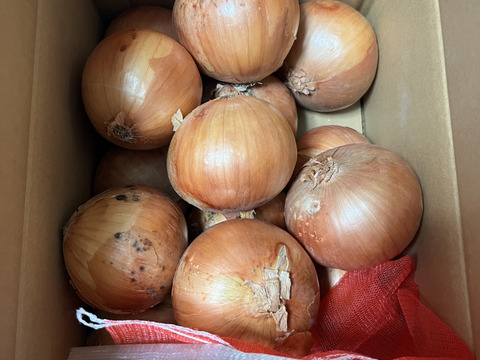 【小玉】淡路島玉ねぎ！加熱で甘みたっぷり♪♪ 5kg【ひょうご安心ブランド認証】