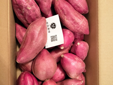 ほくほく食感と上品な甘さ！なると金時(丸い形)5kg