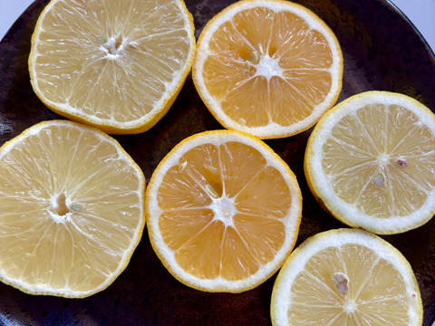 【数量限定・訳ありでお得】
マイヤーレモン／ビラフランカ／璃の香
3種おまかせレモンセット