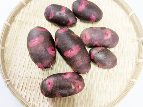 新じゃがいも【デストロイヤー】箱込約2kg美味しいと大評判