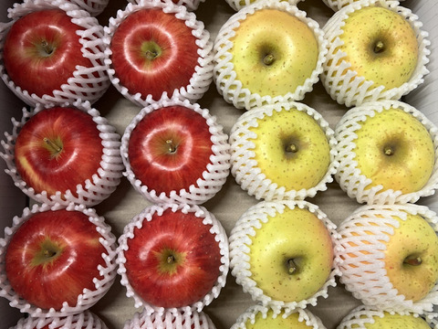 1月発送【ロマンシリーズ食べ比べ】奥州ロマン　藤原ロマン　5kg(20～23個)